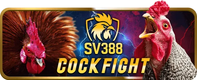 Chương Trình VIP và Đặc Quyền 79king