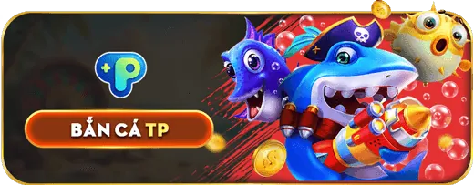 Phân Tích Giải Đấu Thể Thao